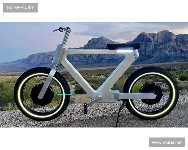 五款性能优异的电动自行车脱颖而出获得了市场和消费者的广泛关注