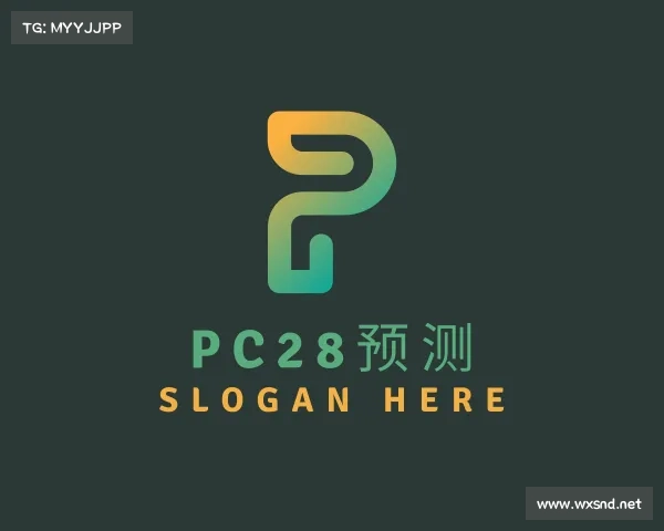 解读pc28预测